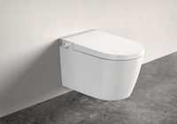 Smart Wall Mounted One-Piece Toilet - W93s