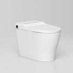 Smart One-Piece Toilet - P20