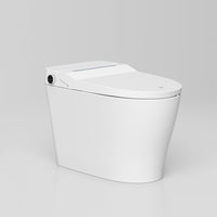 Smart One-Piece Toilet - P20