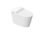P20Q-Lite Smart Toilet