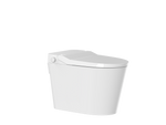 P20P-Lite Smart Toilet