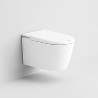 Smart Wall Mounted One-Piece Toilet - Y51 s